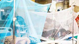 Fresh dengue cases mark slight fall, two more die