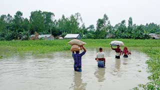 53 Jamalpur villages flooded leaving over a lakh people marooned