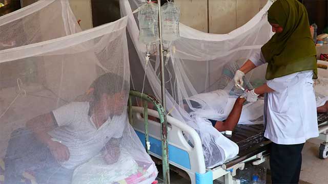 Two more die of dengue, 353 others hospitalised