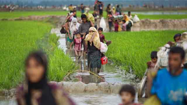Rohingya return deal needs to be monitored by int’l community