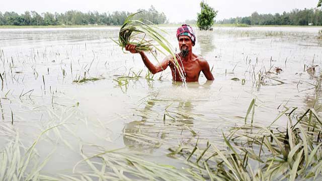 Flood devours standing crops on 1.72 lakh hectare