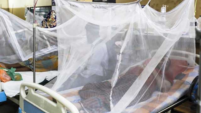 902 more hospitalized for dengue in 24hrs