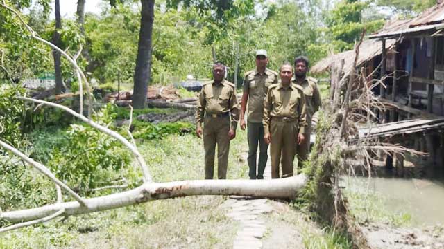 Amphan damages Sundarbans infrastructures, trees worth Tk 1.67 cr 