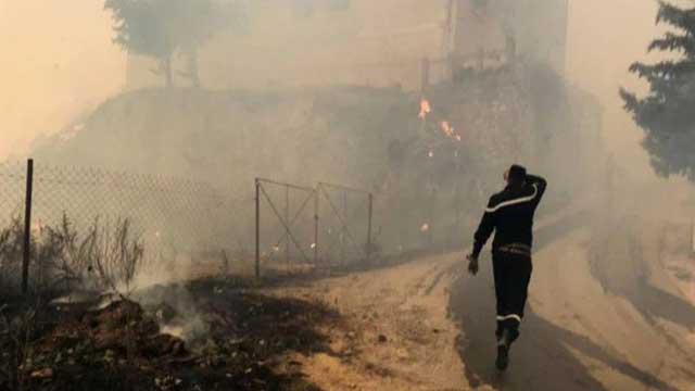 42 killed in Algeria wildfires