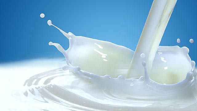 Lead found in 11 BSTI approved milk brands: Report