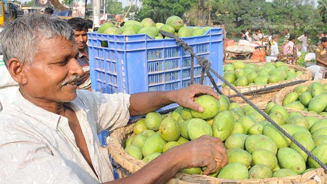 No toxic chemicals in seasonal fruits: BSTI