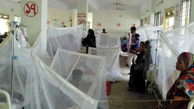 14 people died due to dengue so far