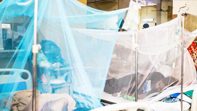 Ensure free treatment of dengue patients: BNP