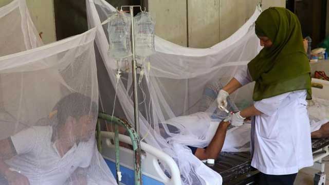 Dengue outbreak: Over 800 hospitalised in 24 hrs