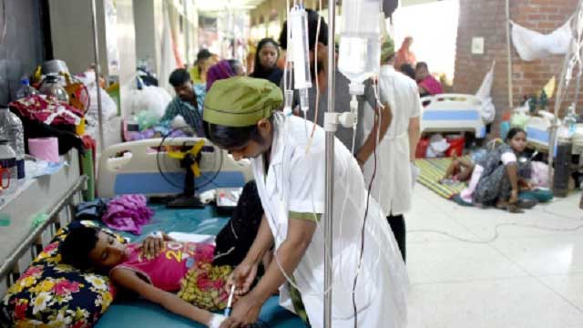 178 new dengue patients hospitalised in 24 hrs