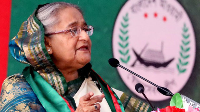 Want to see if any plot behind onion price surge: Hasina