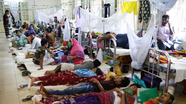 203 dengue patients hospitalised across Bangladesh