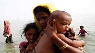34% of Rohingya fund raised so far