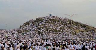 Muslim pilgrims pray at Mount Arafat in hajj apex