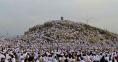 Muslim pilgrims pray at Mount Arafat in hajj apex