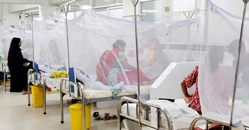 Dengue: 288 fresh cases in 24hrs