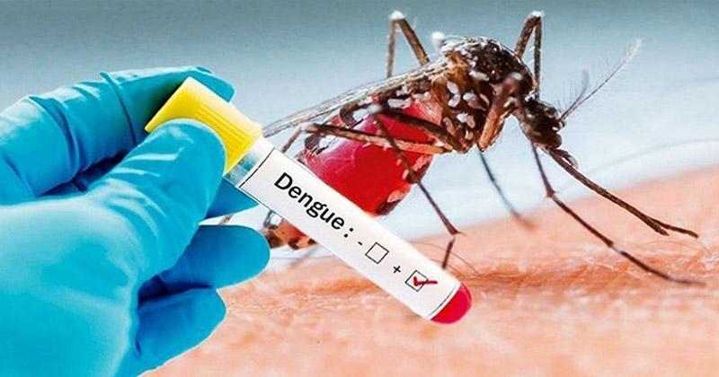Dengue claims 5 more lives, 124 admitted to hospitals